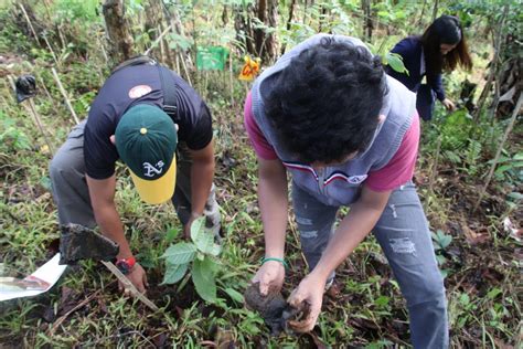 Barangay and Cultural Communities Affairs Development.